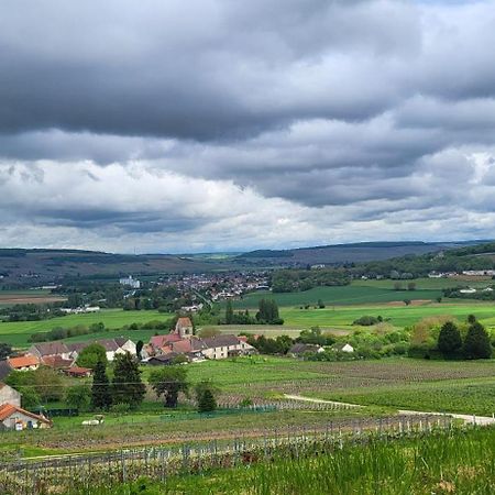 Dormans Le Coq De Champagneヴィラ エクステリア 写真