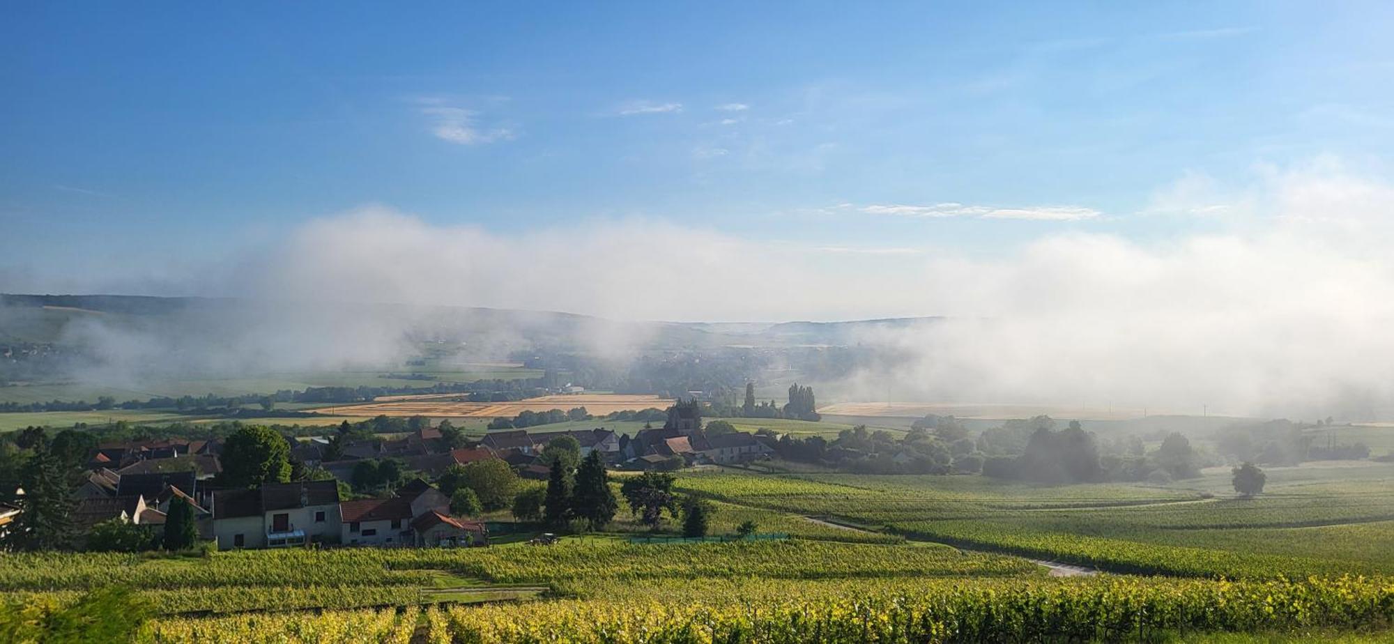 Dormans Le Coq De Champagneヴィラ エクステリア 写真